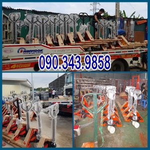 Xe luôn sẵn kho, giao hàng nhanh toàn quốc 24/7